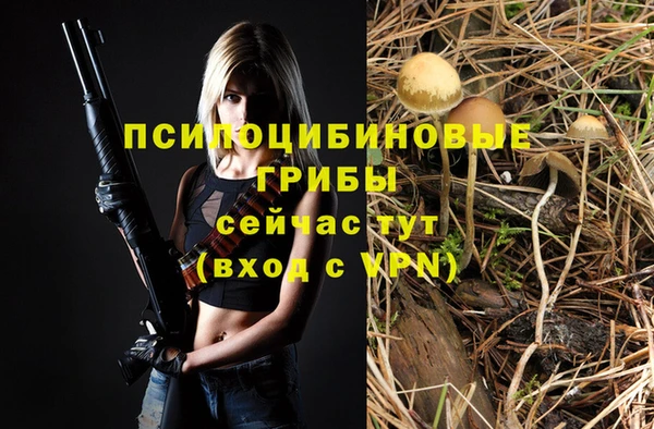 MDMA Premium VHQ Беломорск