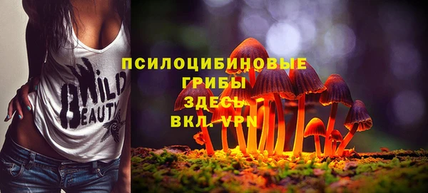 дурь Балахна