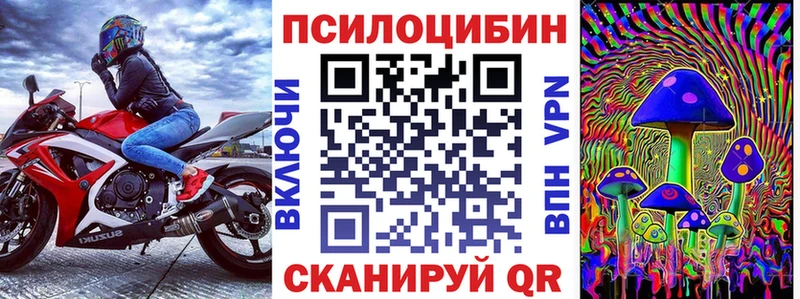 Галлюциногенные грибы Psilocybe  мега как зайти  Нижнеудинск  наркота 